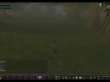 World of Warcraft - Human Paladin