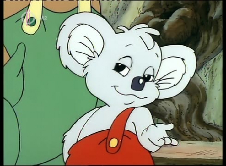 6. Blinky Bill és a piros autó