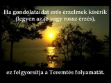 A Vonzás Törvénye