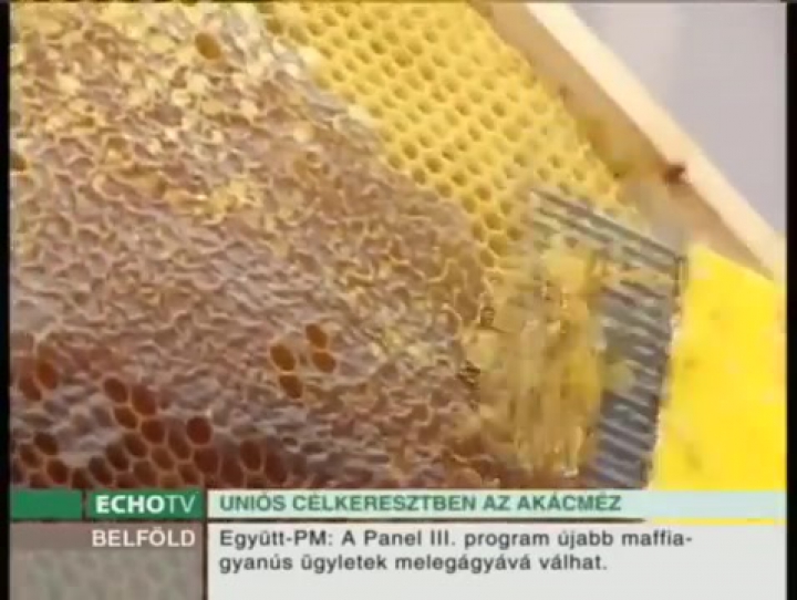Európai Unió az akácfák és a méhek ellen