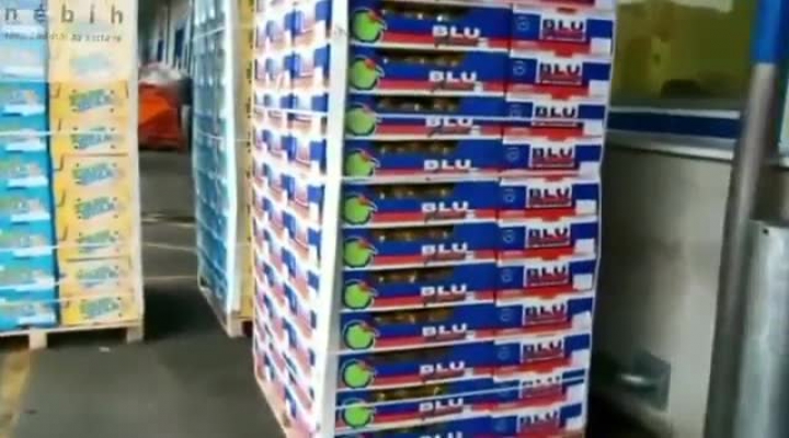Kivi ellenőrzés