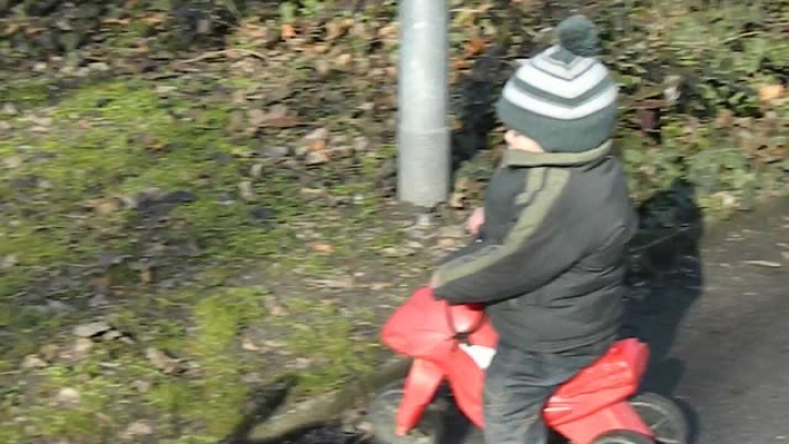 Görkorizás a ligetben