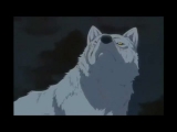 Wolf's Rain [amv] - *Again*
