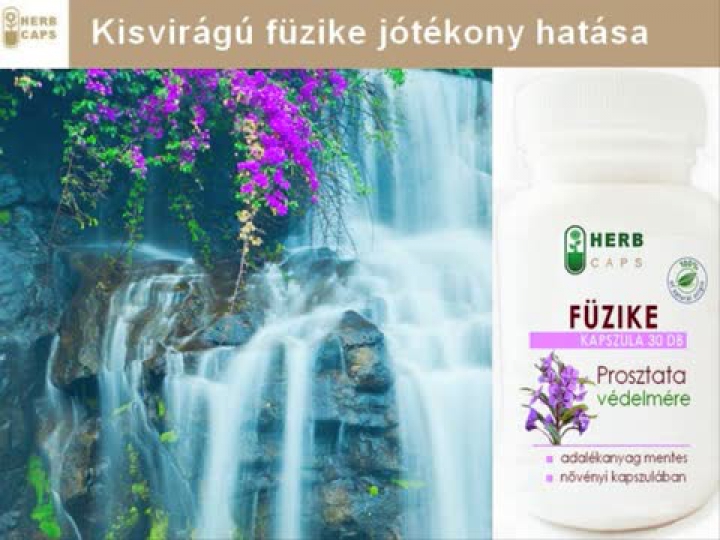 Kisvirágú füzike
