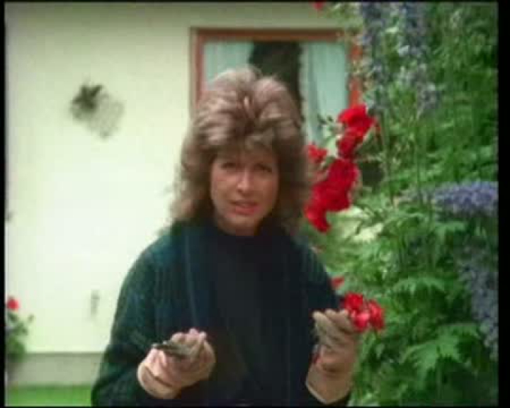 Derrick-Egyfajta gyilkosság