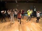 2NE1 - (GOTTA BE YOU) Dance Practice