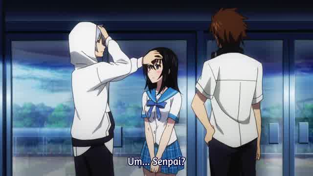 Strike the Blood – 23 – Random Curiosity