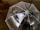 pet esernyő (dog napernyő)