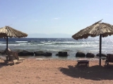 Dahab2014