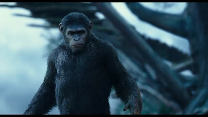 Dawn Of The Planet Of The Apes International trailer