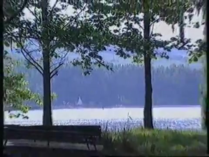 Az orfűi strandon járt a Közösségi Televízió stábja - 1988. június