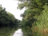Tisza-tó IV csatorna kanyar