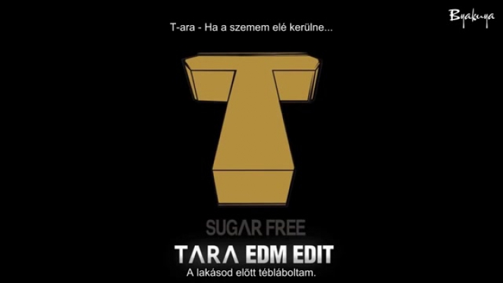 T-ara - If I See Her [hun sub]
