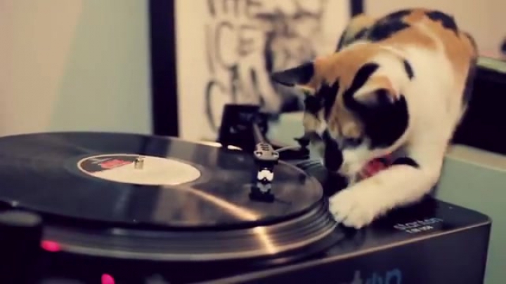 DJ macsek