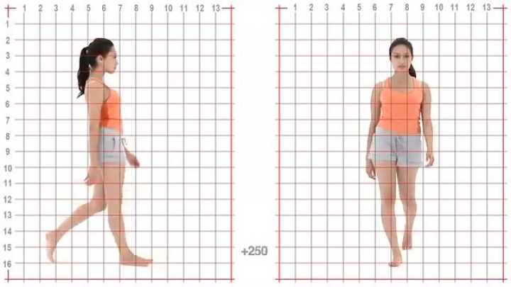 A nők átlagos járása (négyzethálós képben)