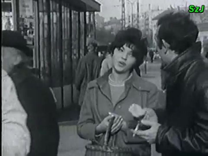 Zalatnay -Bolond gomba- 70'es évek