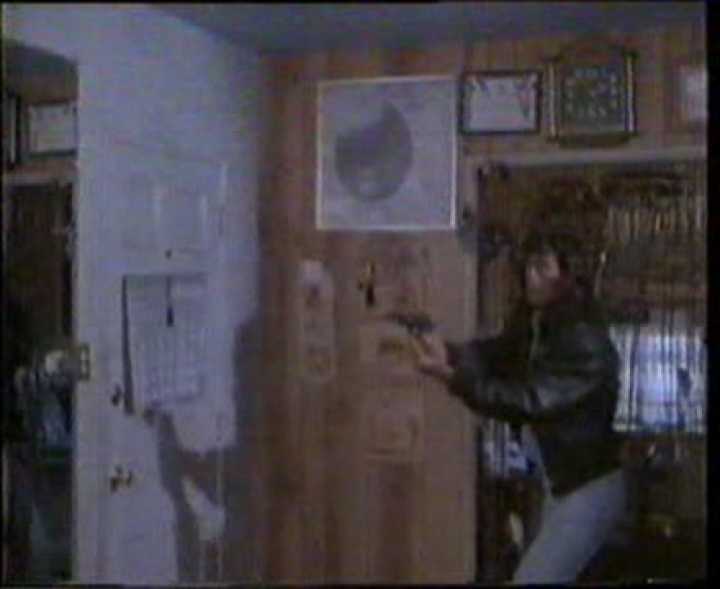 Szamuráj Zsaru (Samurai Cop) 1991