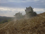 Agroszász Kft. [2009] Kukorica betakarítás