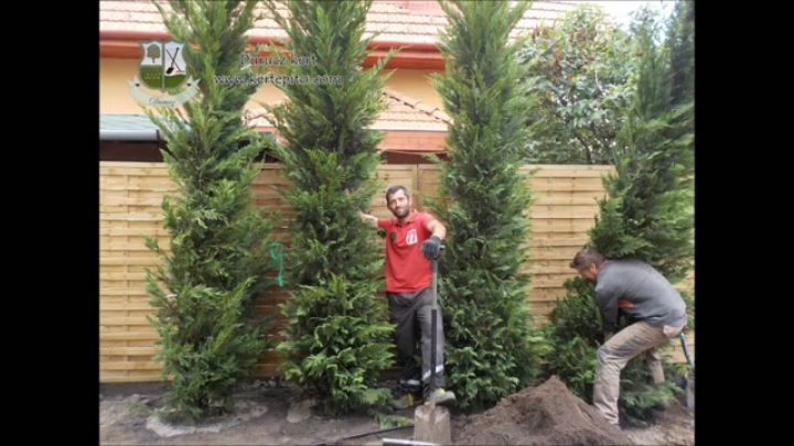 Kerti ötletek