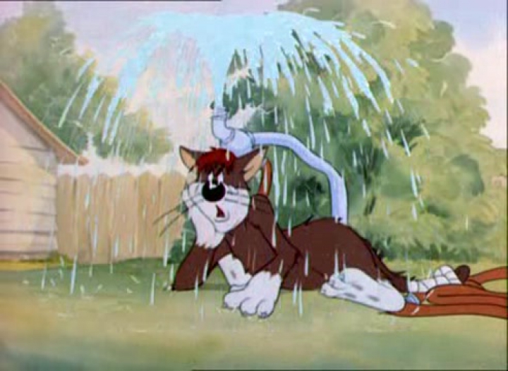 Tom és Jerry 8. Civakodás