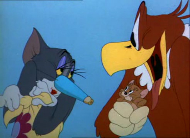 Tom és Jerry 21. Turbékoló madárka