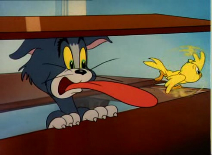 Tom és Jerry 34. A kanári és az egér