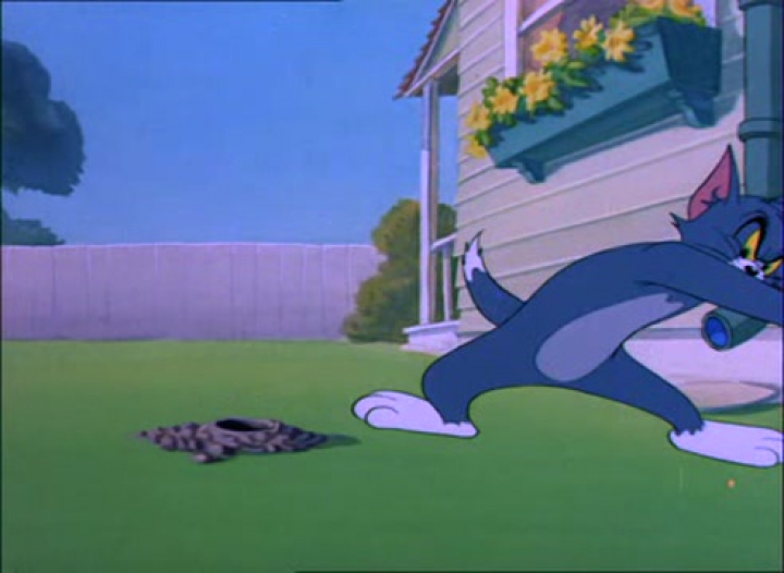 Tom és Jerry 51. Fő a biztonság