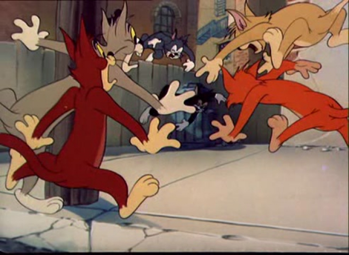 Tom és Jerry 57. A városi rokon
