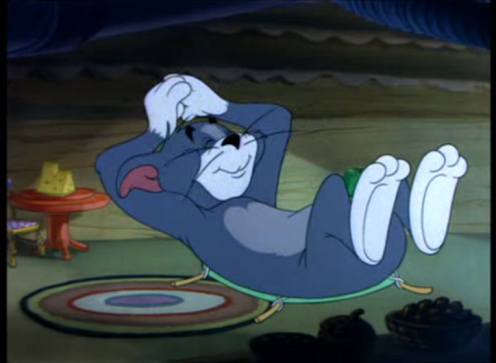 Tom és Jerry 61. Az ütődött macska