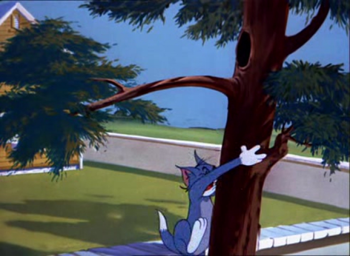 Tom és Jerry 76. Az én kölyköm