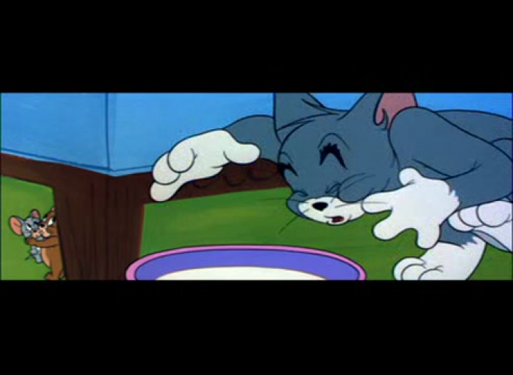 Tom és Jerry 107. A kis árva