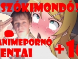 Animekommentár - Animepornó, vagyis HENTAI (+16)