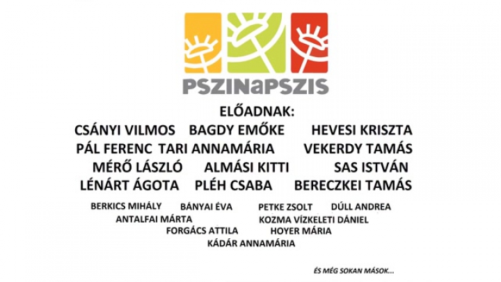 Pszinapszis - A Közös Magány