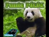 Panda pólók