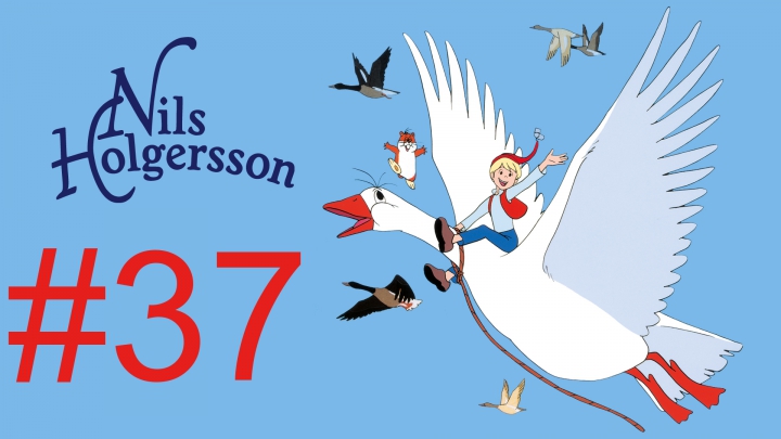 Nils Holgersson 37
