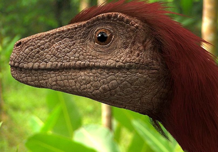 Dinoszauruszok Bolygója 2. rész - Pod utazásai [feliratos]