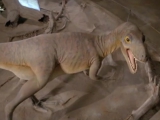 T.rex túlélni mindenáron