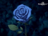 Blood+_[DragonHall+]