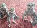 Happy three owls