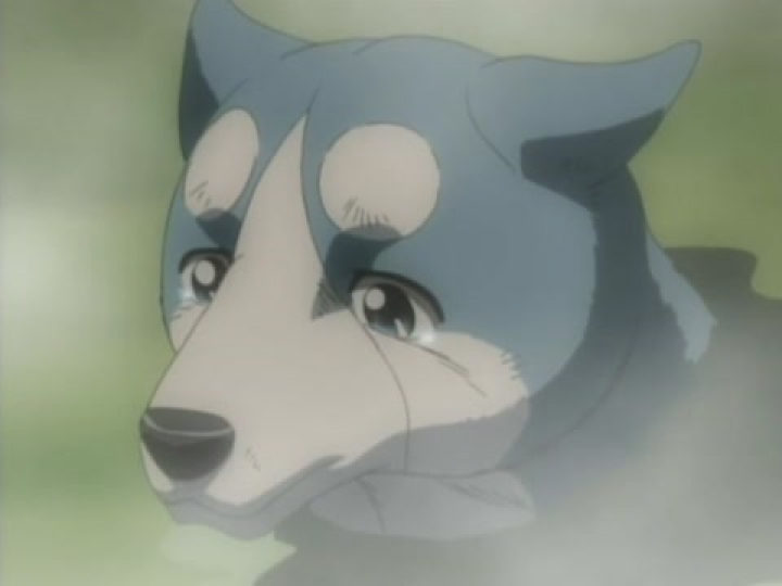 Ginga Densetsu Weed 15. rész