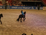 Frízlovak Mikulása az Uniqa lovas világkupán