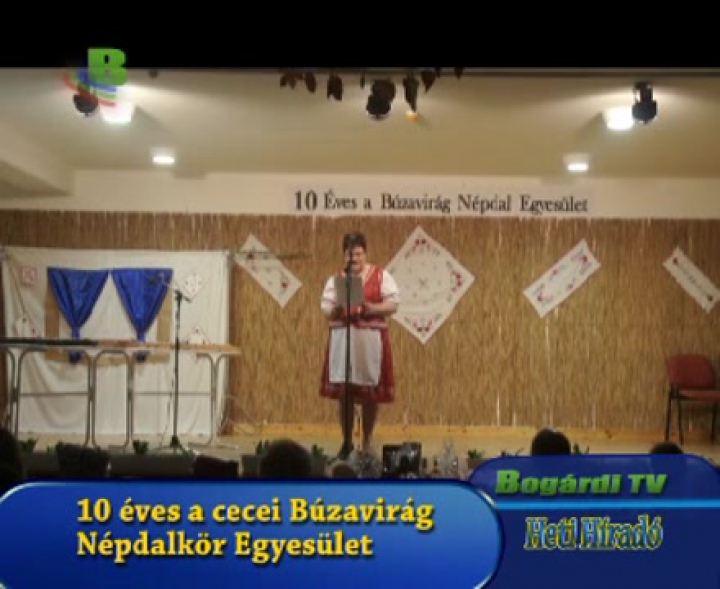 Heti Híradó - november 29.