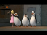 A Madagaszkár pingvinjei - 2 rész egy  videoban