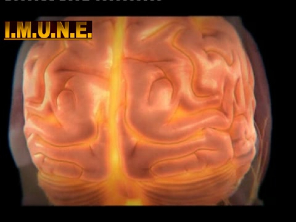 Human Body Brainpower Indavideo Hu