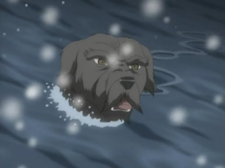 Ginga Densetsu Weed 20. rész