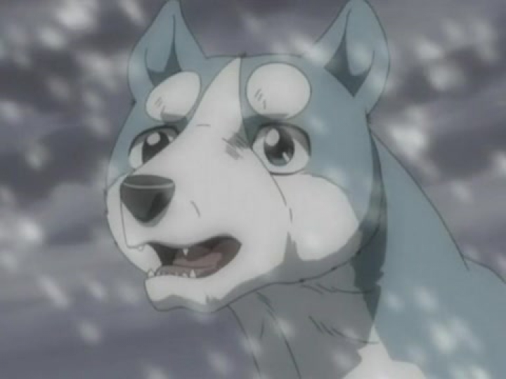 Ginga Densetsu Weed 24. rész