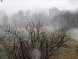 Tavaszi Havazás Slow Motion Videó megloopolva