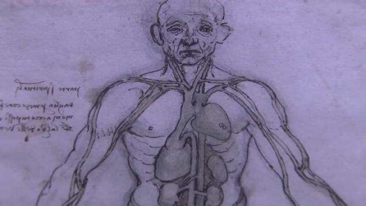 Szívek és elmék - Of Hearts and Minds
