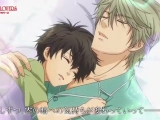 SUPER LOVERS PV