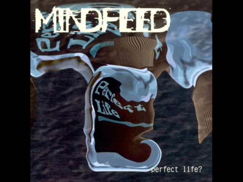 Perfect life 3. Перфект лайф группа. Perfect Life рок. Progressive Metal album Covers. Лидер 1997 - Life обложка.
